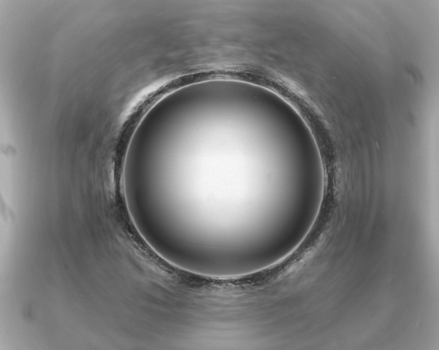 X0000091101214200708131100