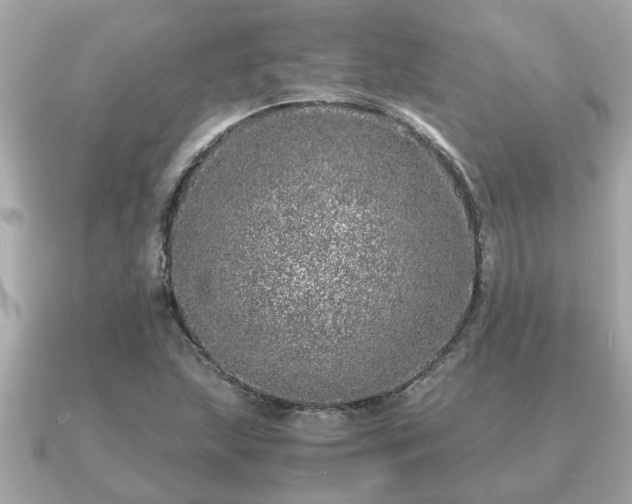 X0000091101215200708131100