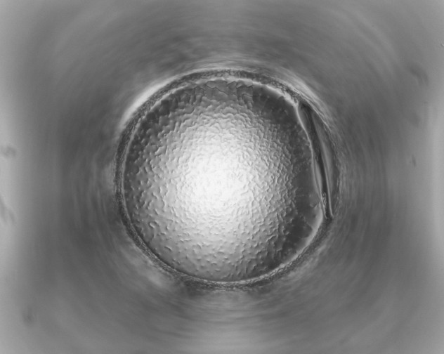 X0000091101216200708131100