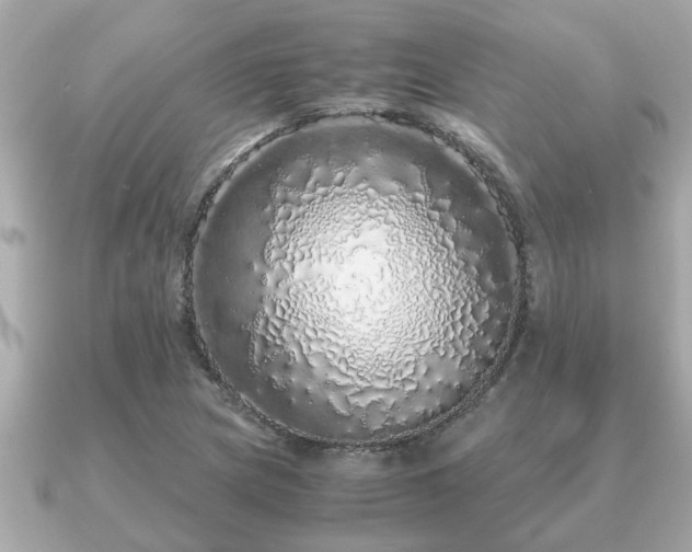 X0000091101217200708131100