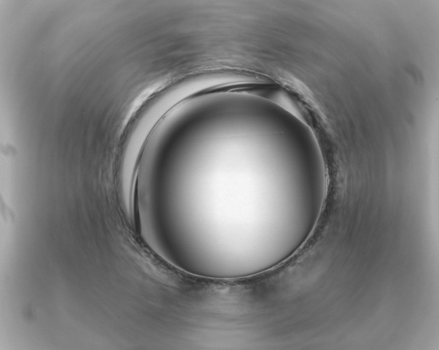 X0000091101218200708131100