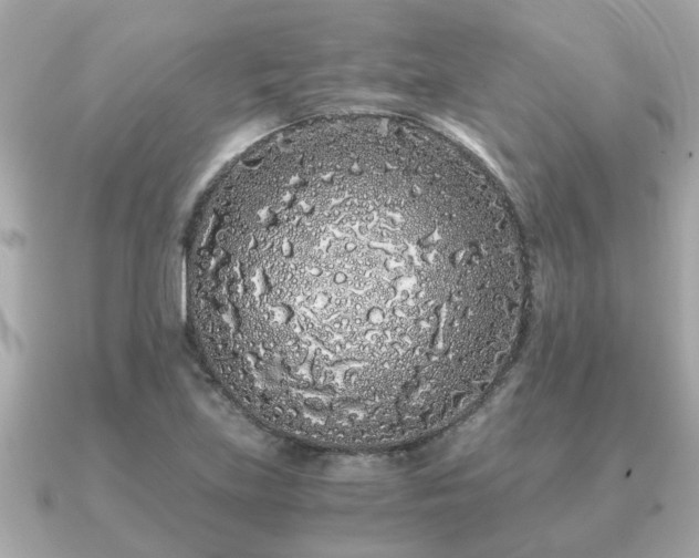 X0000091101219200708131100