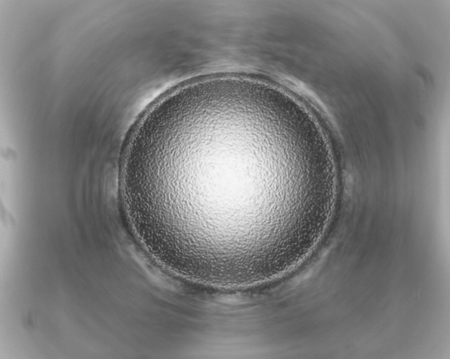 X0000091101220200708131100