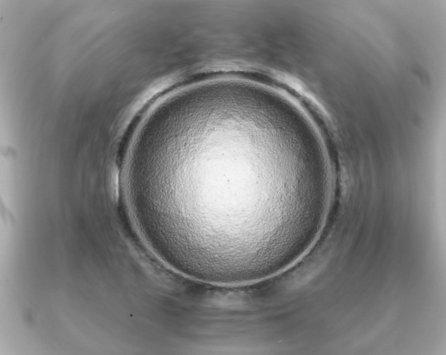 X0000091101221200708131100