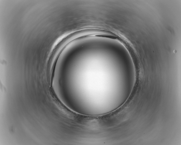 X0000091101222200708131100