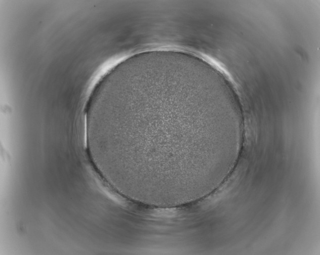 X0000091101223200708131100