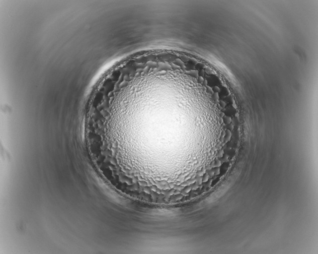 X0000091101224200708131100