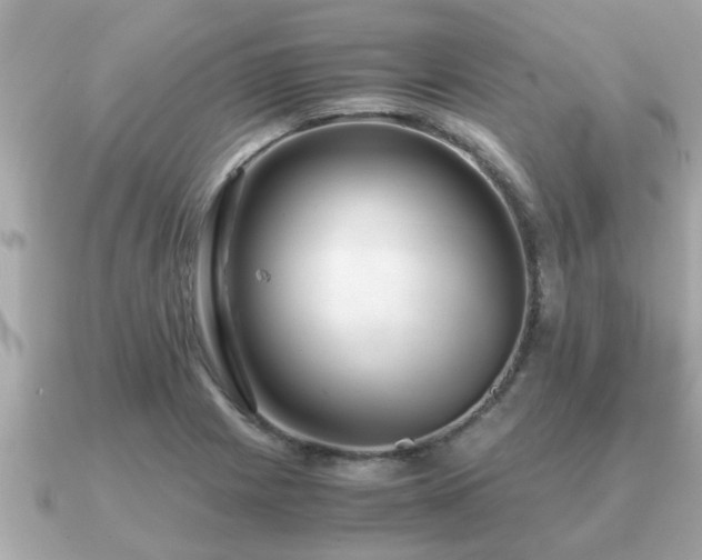 X0000091101225200708131100