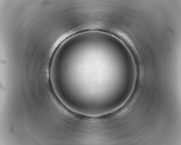 X0000091101226200708131100