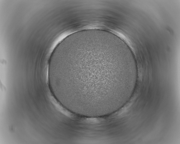 X0000091101227200708131100