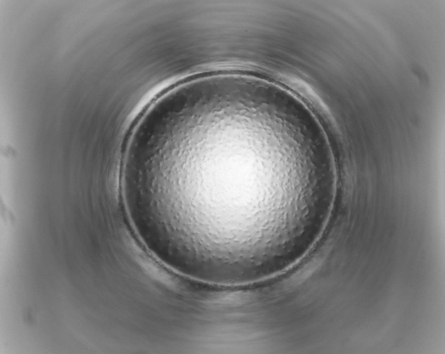 X0000091101228200708131100