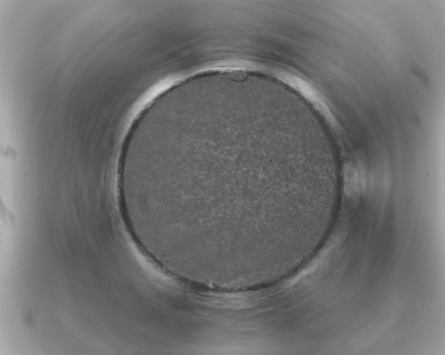 X0000091101229200708131100