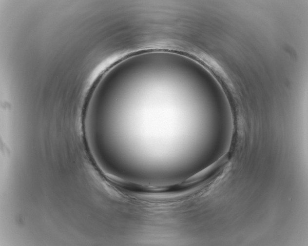 X0000091101230200708131100