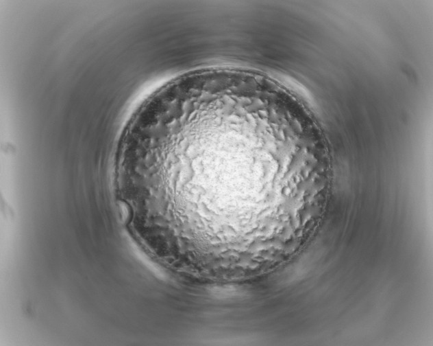 X0000091101231200708131100