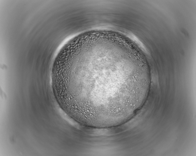 X0000091101232200708131100