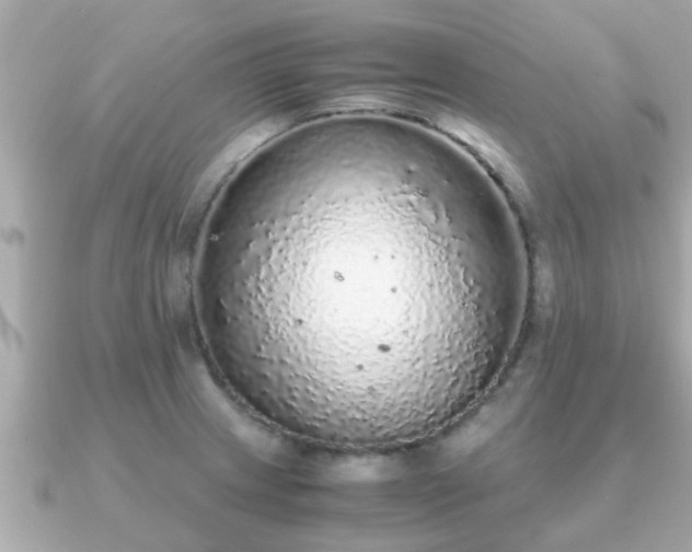 X0000091101233200708131100