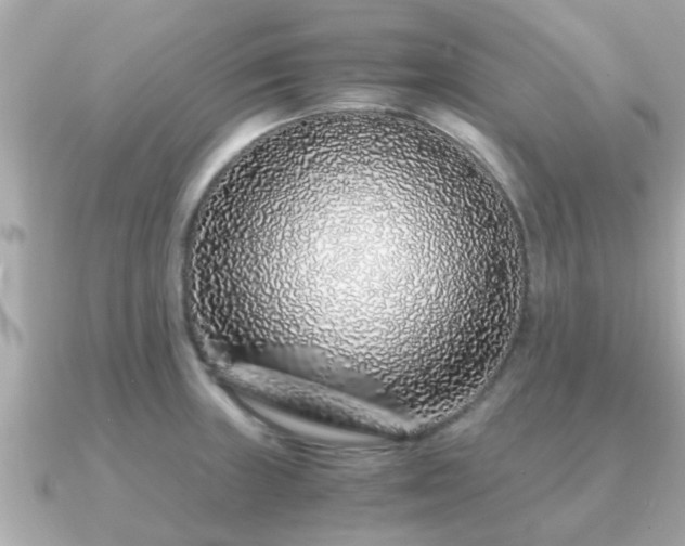 X0000091101235200708131100