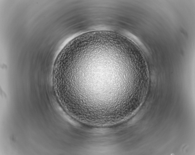 X0000091101236200708131100