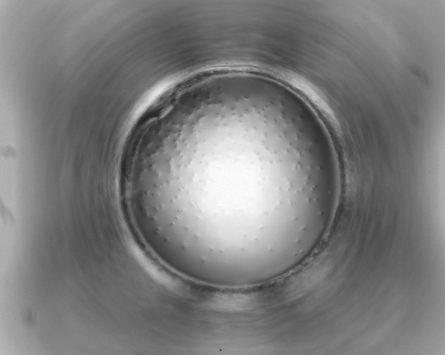 X0000091101237200708131100