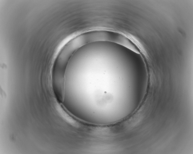 X0000091101238200708131100