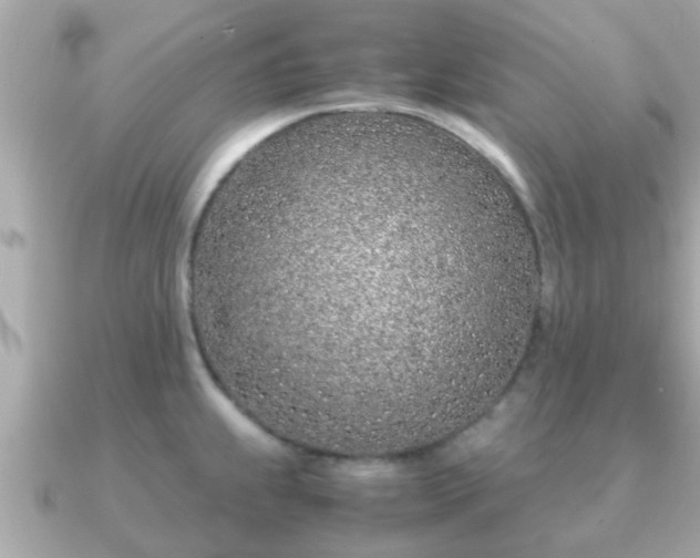 X0000091101239200708131100