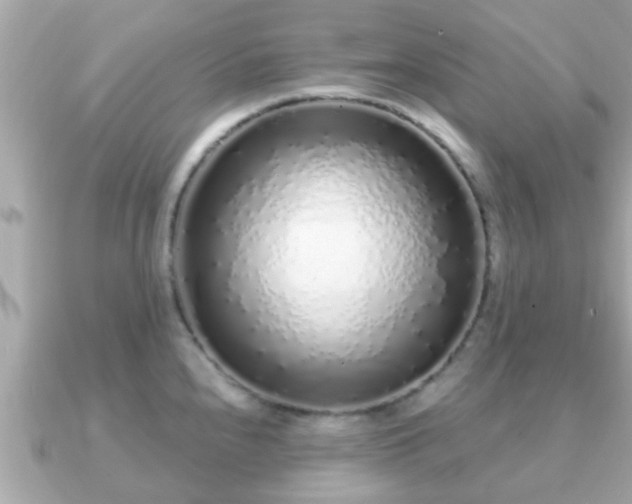 X0000091101240200708131100