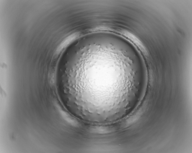 X0000091101241200708131100