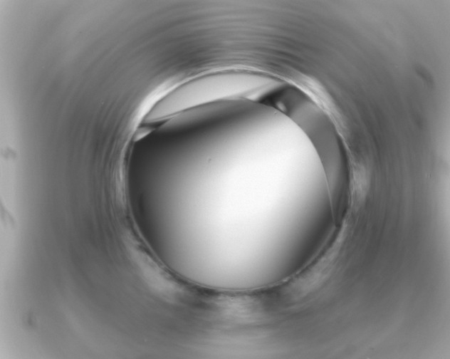 X0000091101242200708131100