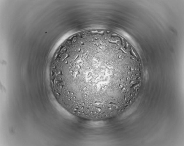 X0000091101243200708131100