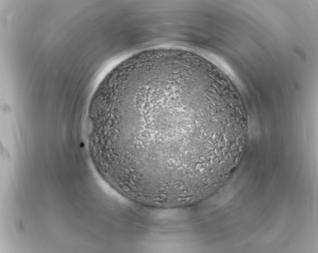 X0000091101247200708131100