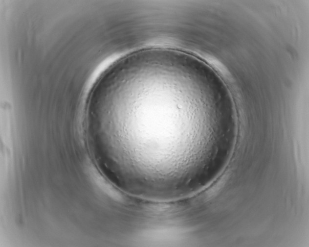 X0000091101248200708131100