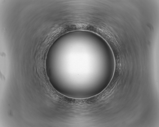 X0000091101249200708131100