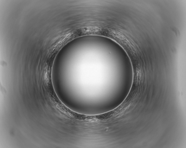 X0000091101250200708131100