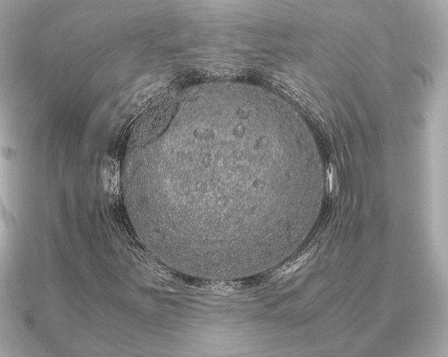 X0000091101251200708131100