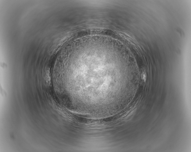 X0000091101252200708131100