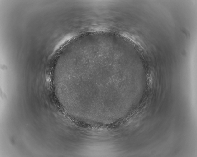 X0000091101254200708131100