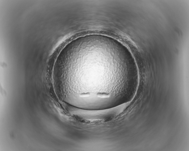 X0000091101256200708131100