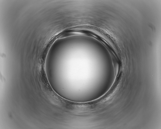 X0000091101257200708131100