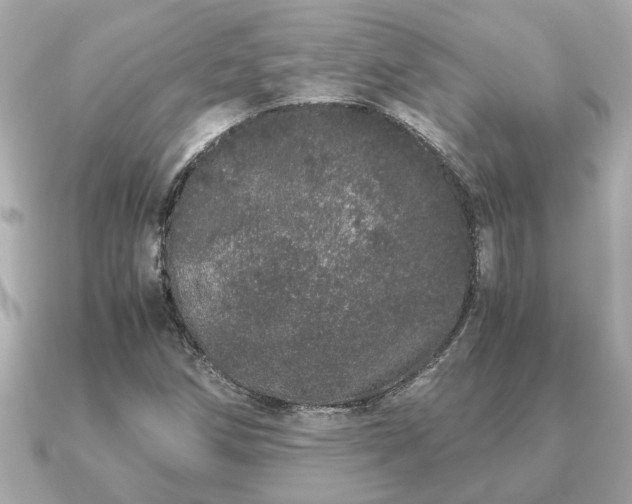 X0000091101258200708131100