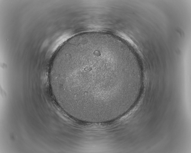 X0000091101259200708131100