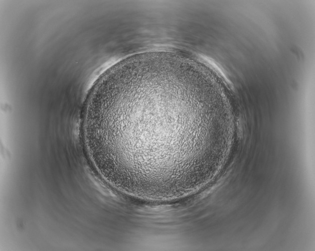 X0000091101260200708131100