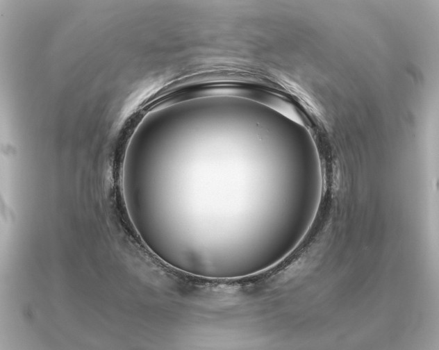 X0000091101261200708131100