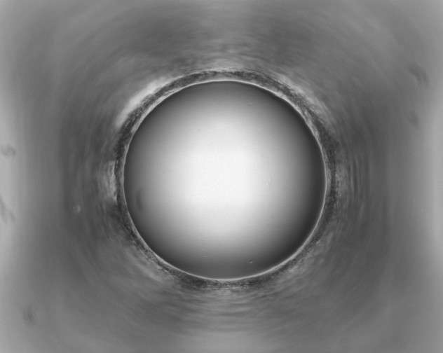 X0000091101262200708131100