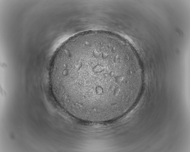 X0000091101263200708131100