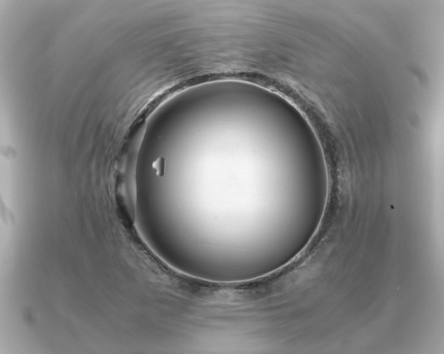 X0000091101265200708131100