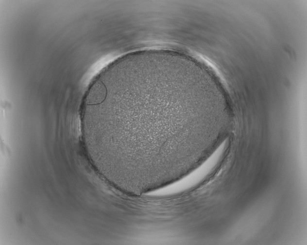 X0000091101267200708131100