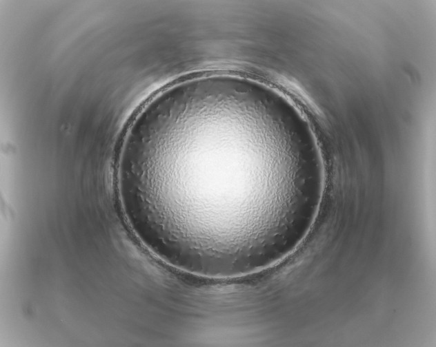 X0000091101268200708131100