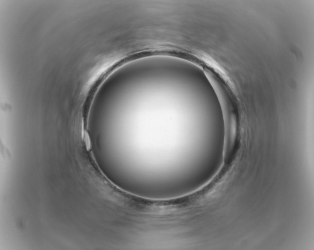 X0000091101269200708131100