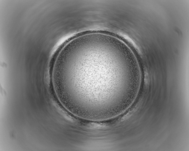 X0000091101270200708131100