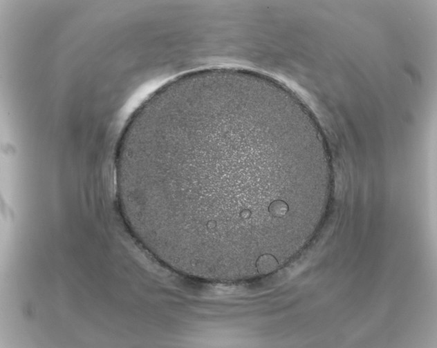 X0000091101271200708131100